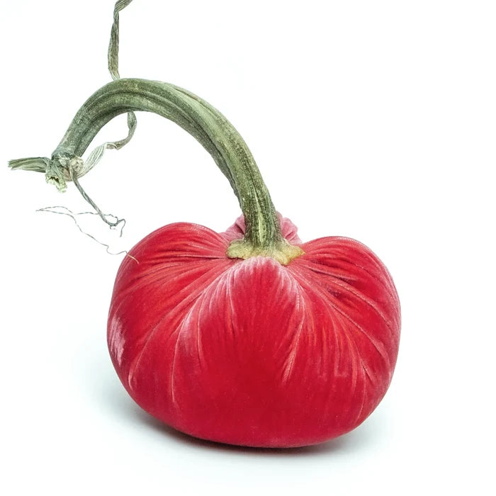 3" Velvet Pumpkin