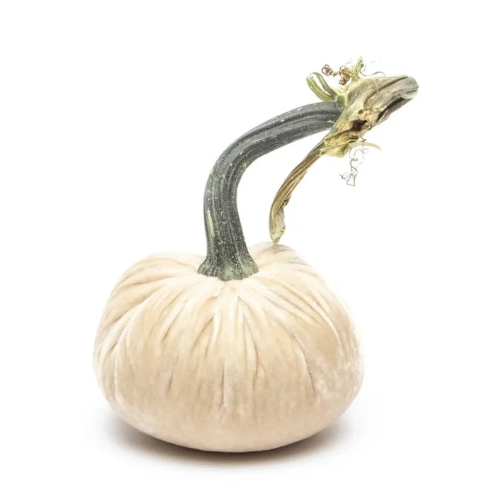 3" Velvet Pumpkin