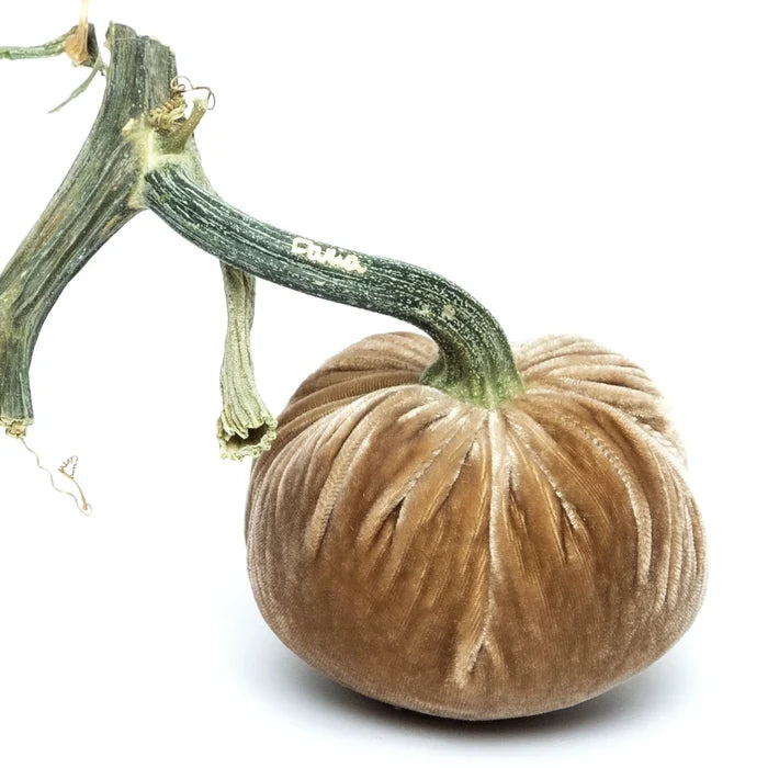 4" Velvet Pumpkin