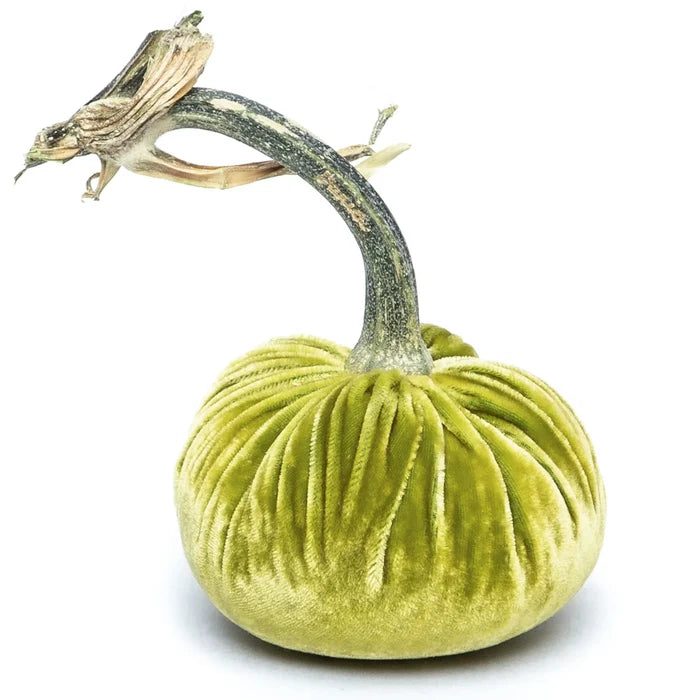 4" Velvet Pumpkin