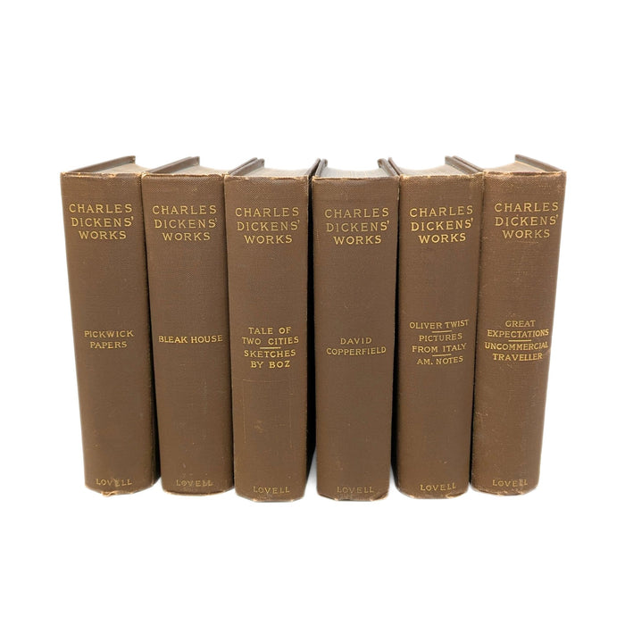 6 Volumes of Charles Dickens' Works, Published c. 1890
