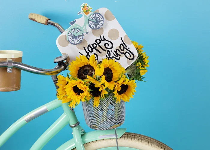 Bicycle Mini Attachment