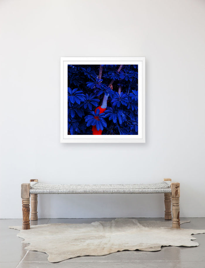 Blue Jungle by Fares Micue Photography
