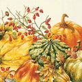 Calabaza Cream Cocktail Napkin