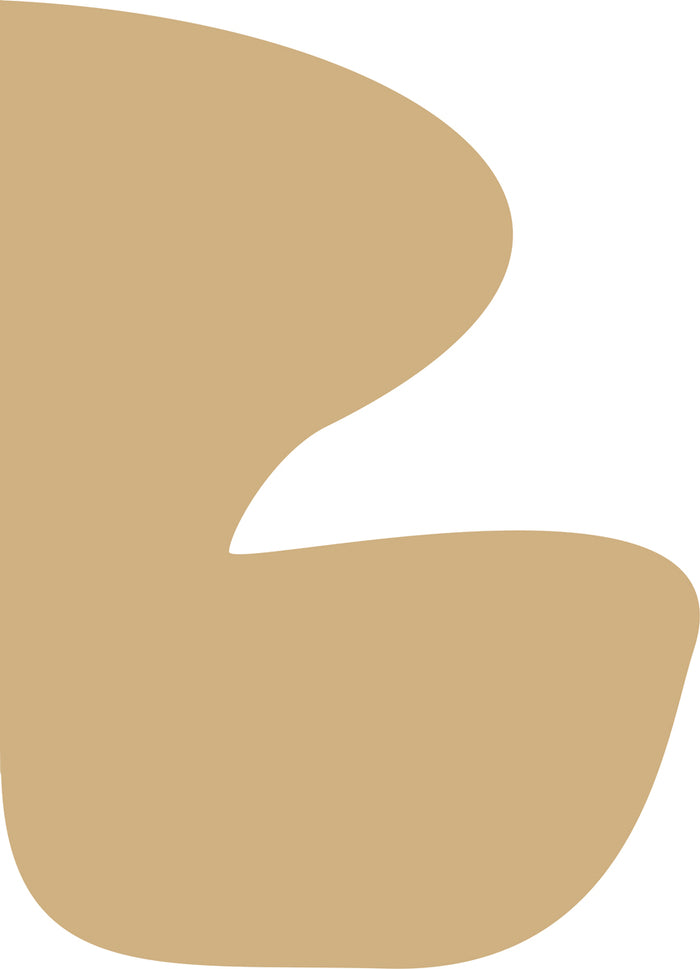 Camel by Kimmie B Posters, Prints, & Visual Artwork