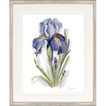 CL-Botanical 10 (Iris)
