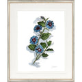CL-Botanical 4 (Morning Glory)
