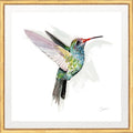 CL-Hummingbird 1
