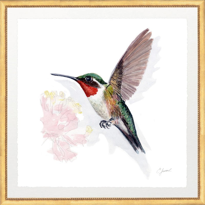 CL-Hummingbird 4