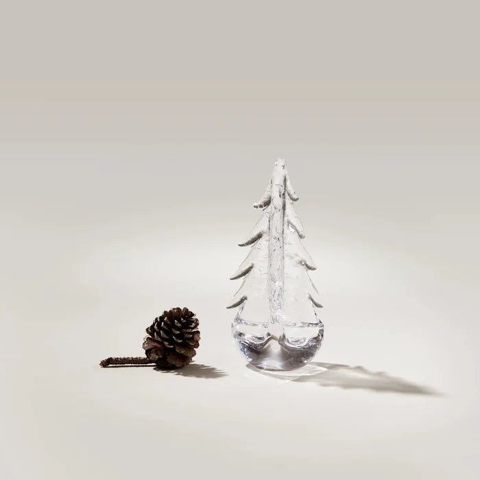 Crackle Evergreen