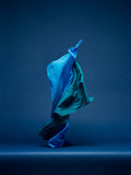 Dancing Fabric, Blue by Neal Grundy Photography