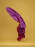 Dancing Fabrics 13 by Neal Grundy Photography
