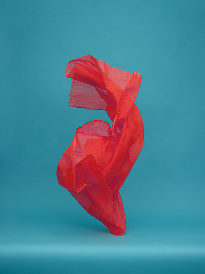 Dancing Fabrics 3 by Neal Grundy Photography