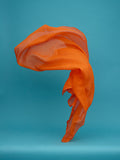 Dancing Fabrics 4 by Neal Grundy Photography