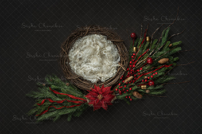 Digital  Backdrop