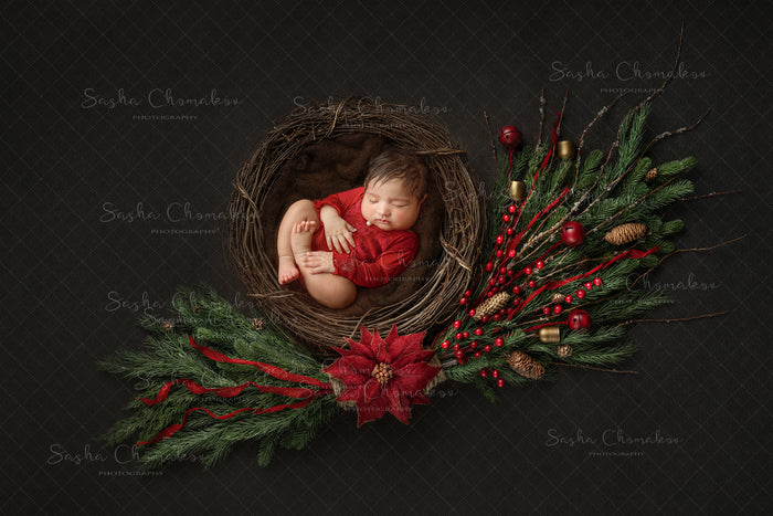 Digital  Backdrop