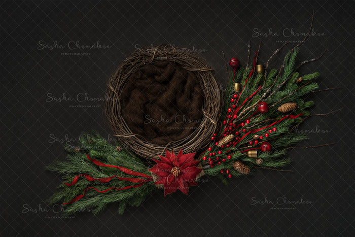 Digital  Backdrop