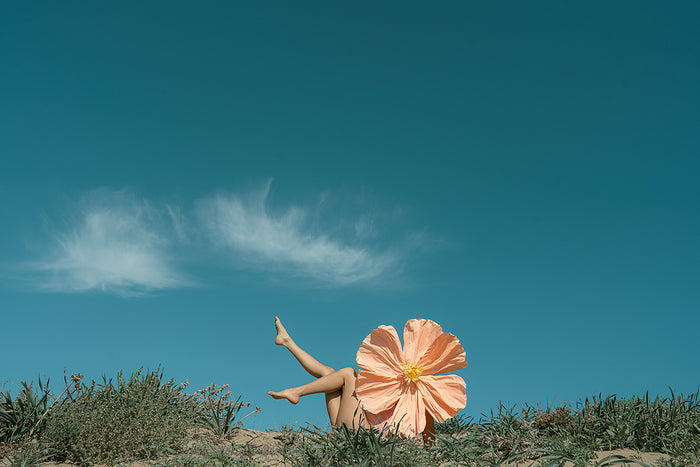 Harmony Ii by Carla Sutera Sardo Photography