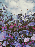 Madness by Siobhan O'Dwyer Fine Art Photography