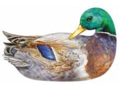 Mallard Casserole