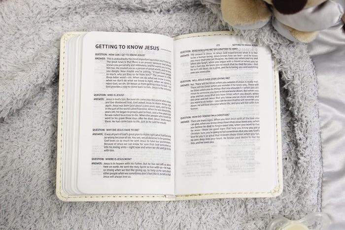 NIV Tiny Testament Bible