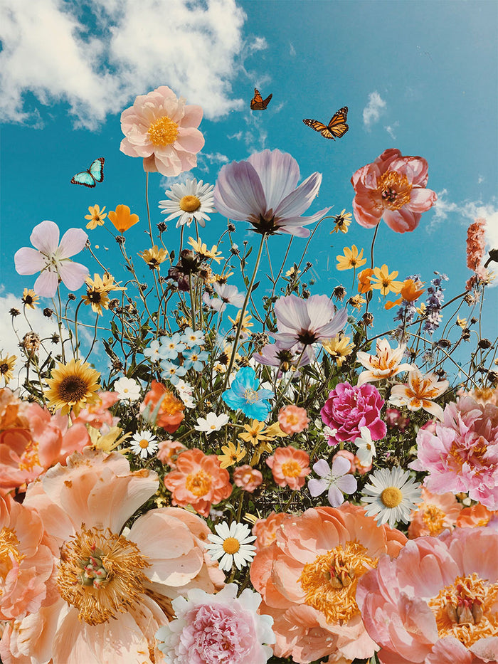 Peony Dreams by Siobhan O'Dwyer Fine Art Photography