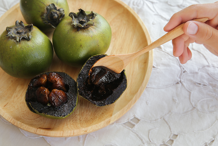 PERSIMMON 'Black Sapote' --Diospyros nigra--