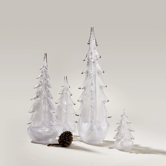 Silver Leaf Evergreen