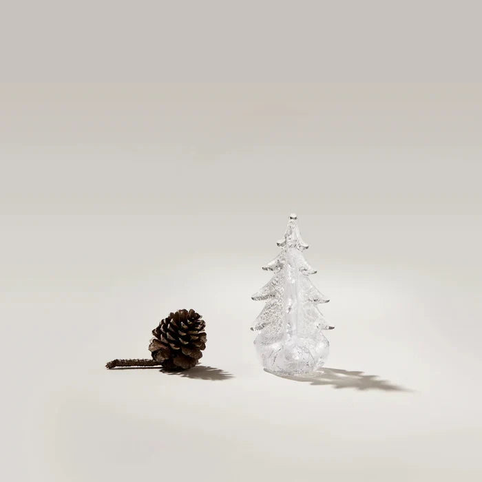 Silver Leaf Evergreen