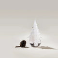Snowdrift Evergreen