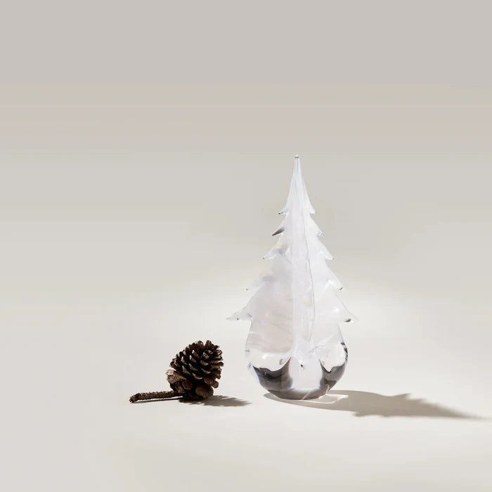Snowdrift Evergreen