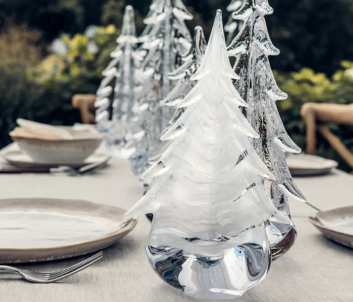 Snowdrift Evergreen