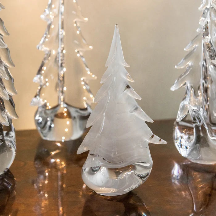 Snowdrift Evergreen