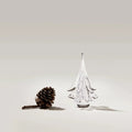 Spruce Evergreen