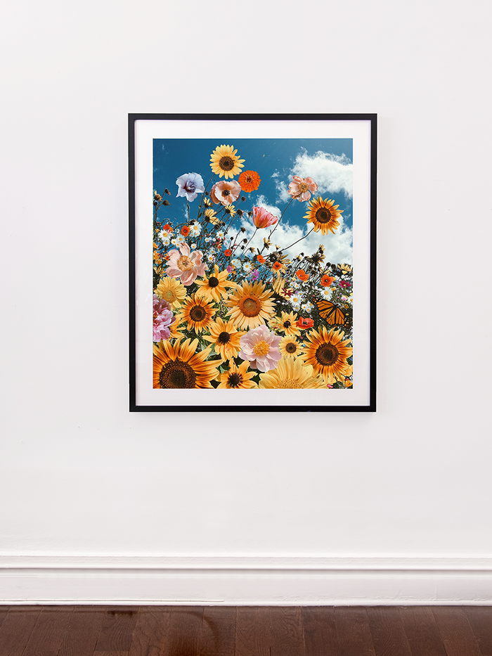 Sunflower Heaven by Siobhan O'Dwyer Posters, Prints, & Visual Artwork