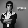 Tribute (RSDBF 2023)