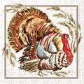 A square decorative print featuring a painted wild turkey with a red head and layered brown, tan, cream, and muted blue feathers, surrounded by illustrated leaves and berries on a white textured background with a thin double-line border.
