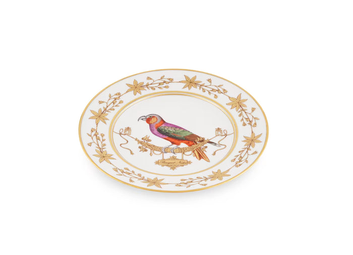 Volière Perroquet Nestor Dinner Plate